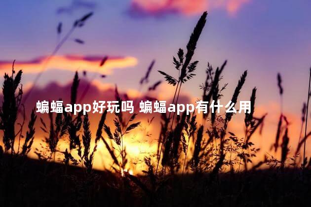 蝙蝠app好玩吗 蝙蝠app有什么用